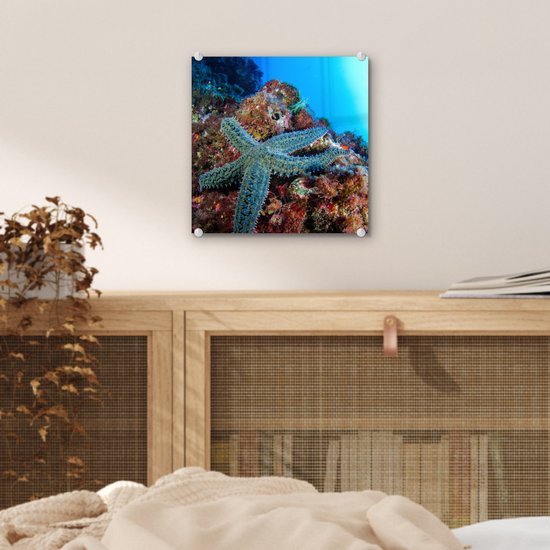 MuchoWow® Peinture sur verre 20x20 cm - Peinture sur verre acrylique - Étoile de mer - Corail - Animaux - Photo sur verre - Peintures