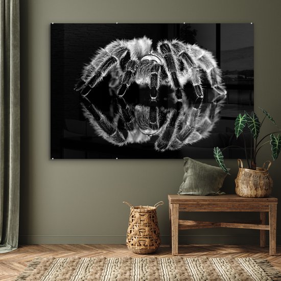 ® Glasschilderij 180x120 cm - Schilderij acrylglas - Studio shot van een tarantula - Foto op glas - Muurdecoratie woonkamer - Wanddecoratie slaapkamer - Schilderijen