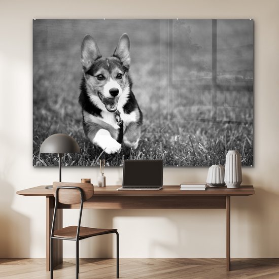 MuchoWow® Peinture sur verre 180x120 cm - Peinture sur verre acrylique - Chien qui court - noir et blanc - Photo sur verre - Peintures