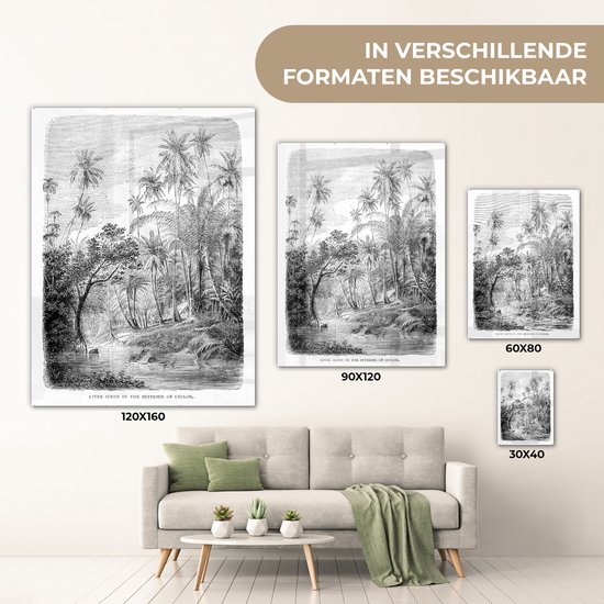 MuchoWow® Peinture sur Verre - Une Illustration d'une Rangée de Palmiers au Sri Lanka - 120x160 cm - Peintures sur Verre Acrylique - Photo sur Glas