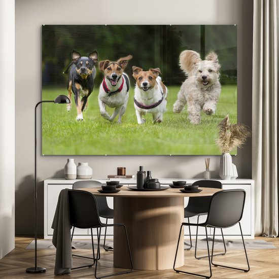 MuchoWow® Peinture sur verre 180x120 cm - Peinture sur verre acrylique - Un groupe de chiots courant à travers un champ - Photo sur verre - Peintures
