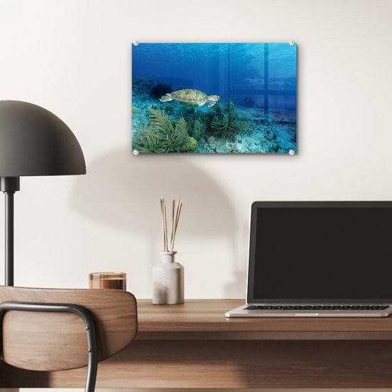 MuchoWow® Glasschilderij 30x20 cm - Schilderij acrylglas - Groene zeeschildpad op Bonaire - Foto op glas - Schilderijen