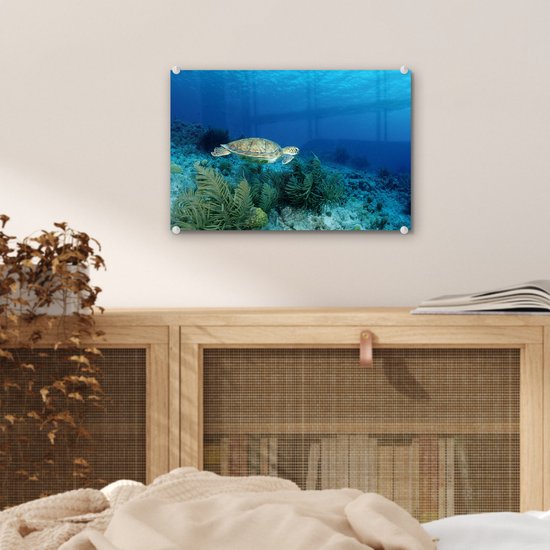 MuchoWow® Glasschilderij 30x20 cm - Schilderij acrylglas - Groene zeeschildpad op Bonaire - Foto op glas - Schilderijen