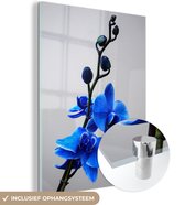 MuchoWow® Glasschilderij 60x80 cm - Schilderij acrylglas - Blauwe orchideeën tegen een witte achtergrond - Foto op glas - Schilderijen