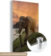 MuchoWow® Peinture sur verre - Éléphant - Water - Animaux - Coucher de soleil - Nature - 100x150 cm - Peintures sur verre acrylique - Photo sur Glas