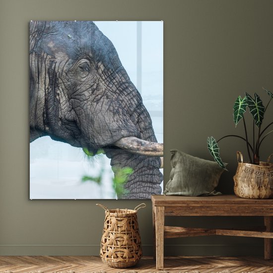 MuchoWow® Peinture sur verre 90x120 cm - Peinture sur verre acrylique - Éléphant - Animaux - Grijs - Nature - Photo sur verre - Peintures