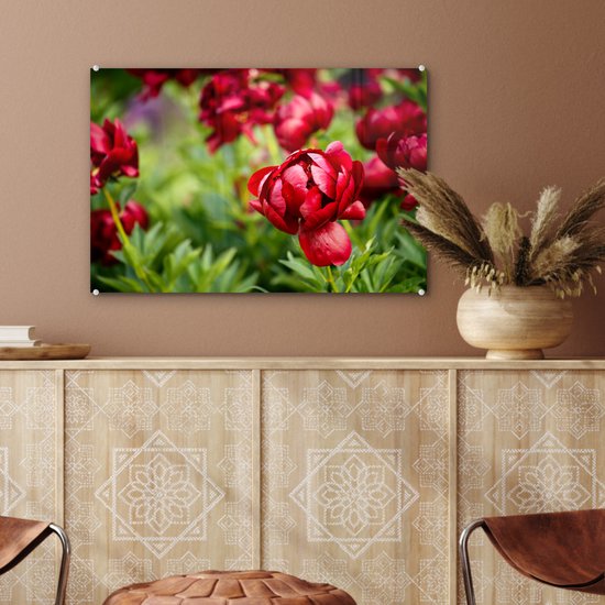 MuchoWow® Peinture sur verre 60x40 cm - Peinture sur verre acrylique - Un jardin rempli de pivoines rouges - Photo sur verre - Peintures