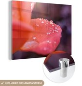 MuchoWow® Glasschilderij 40x30 cm - Schilderij acrylglas - Waterdruppels op een roos - Foto op glas - Schilderijen
