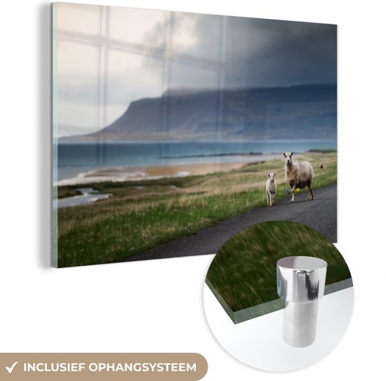 MuchoWow® Glasschilderij 60x40 cm - Schilderij acrylglas - Schaap - Lam - Storm - Foto op glas - Schilderijen