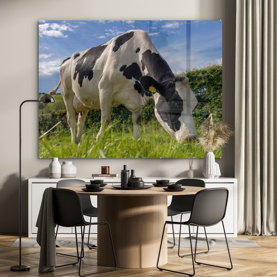 Une vache frisonne broutant par une journée d'été ensoleillée Plexiglas 160x120 cm - Tirage photo sur Glas (décoration murale plexiglas) XXL / Groot format!
