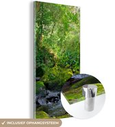MuchoWow® Glasschilderij 40x80 cm - Schilderij acrylglas - Regenwoudkreek - Foto op glas - Schilderijen