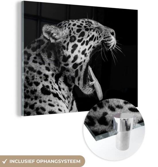 MuchoWow® Glasschilderij - Jaguar - Dier - Zwart - Wit - Acrylglas Schilderijen - Foto op Glas