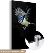 MuchoWow® Glasschilderij 80x120 cm - Schilderij acrylglas - Vogels - Veren - Zwart - Foto op glas - Schilderijen