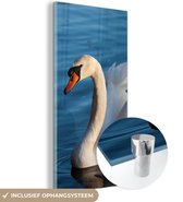 Glasschilderij - Foto op glas - Acrylglas - Zwaan - Vogel - Water - Landschap - 20x40 cm - Schilderij glas - Glasschilderij vogels - Glasschilderij dieren - Kamer decoratie