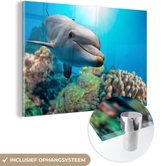 MuchoWow® Glasschilderij 60x40 cm - Schilderij acrylglas - Dolfijn - Zee - Koraal - Foto op glas - Schilderijen