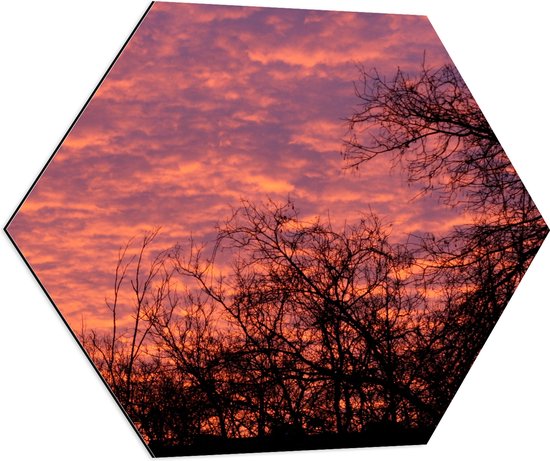 Dibond Hexagon - Silhouet van Bomen onder Roze met Paarse Lucht - 80x69.6 cm Foto op Hexagon (Met Ophangsysteem)