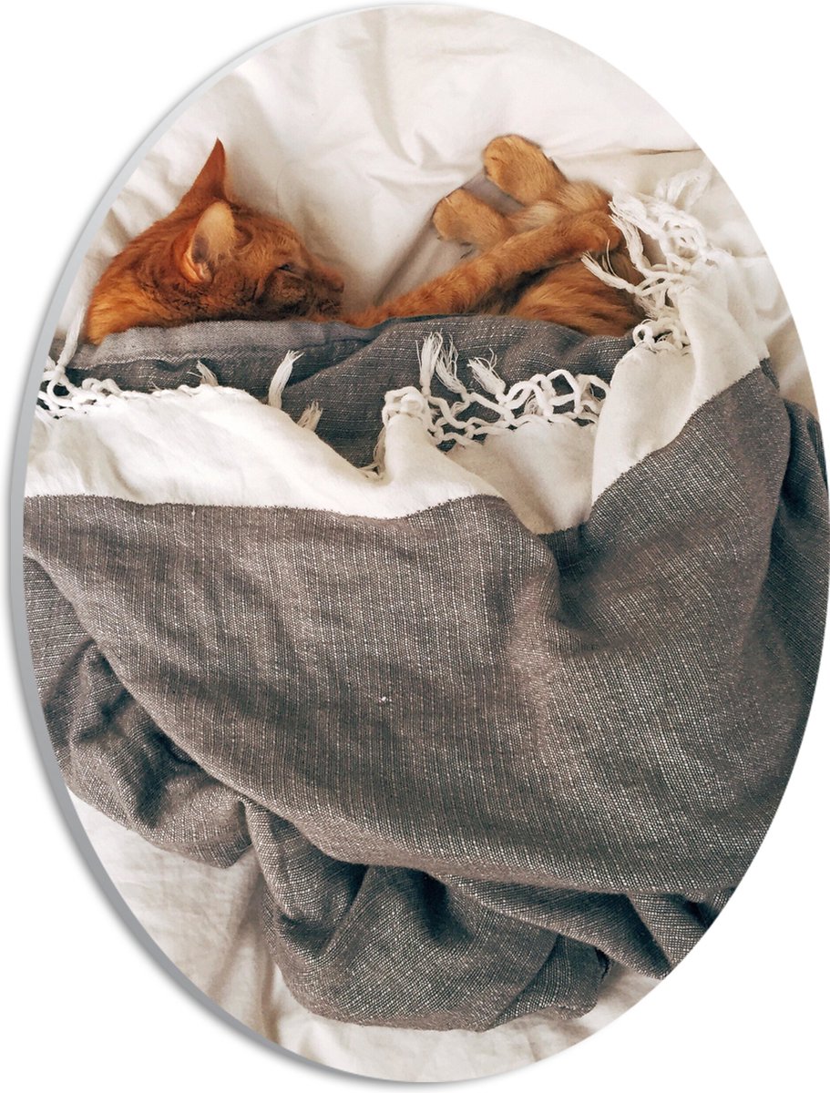 PVC Schuimplaat Ovaal - Rode Kat onder Deken op Bed - 21x28 cm Foto op Ovaal (Met Ophangsy