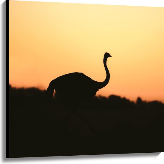 Canvas - Silhouet van Struisvogel bij Bossen tijdens Zonsondergang - 100x100 cm Foto op Canvas Schilderij (Wanddecoratie op Canvas)