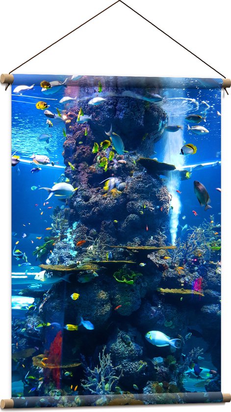 Textielposter - Verschillende Soorten Vissen Zwemmend Rond Koraal - 60x90 cm Foto op Textiel