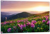 Tuinposter – Roze Bloemen op de Bergen van Landschap tijdens Zonsopkomst - 120x80 cm Foto op Tuinposter (wanddecoratie voor buiten en binnen)