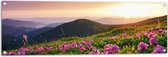 Tuinposter – Roze Bloemen op de Bergen van Landschap tijdens Zonsopkomst - 120x40 cm Foto op Tuinposter (wanddecoratie voor buiten en binnen)