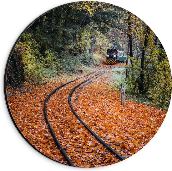 Dibond Muurcirkel - Treinspoor met Trein door Struiken in Herfstkleurig Bos - 20x20 cm Foto op Aluminium Muurcirkel (met ophangsysteem)