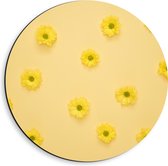 Dibond Muurcirkel - Donkergele Bloemen op een Lichtgele Achtergrond - 40x40 cm Foto op Aluminium Muurcirkel (met ophangsysteem)