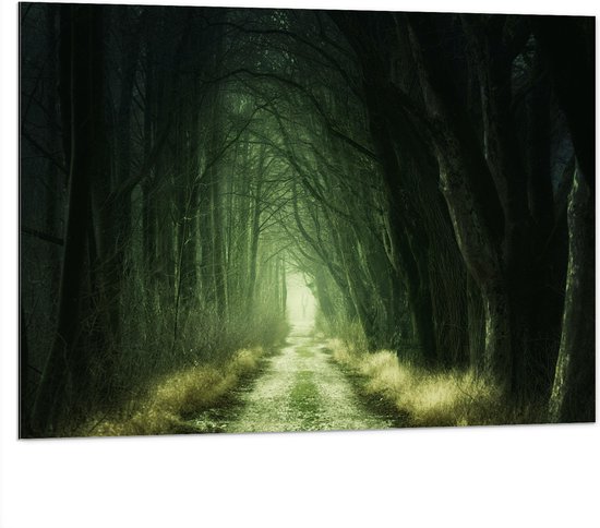 Dibond - Donker Pad tussen de Bomen - 100x75 cm Foto op Aluminium (Met Ophangsysteem)