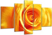 Glasschilderij Roos - Geel, Oranje - 170x100cm 5Luik - Foto Op Glas - Geen Acrylglas Schilderij - 6000+ Glasschilderijen Collectie - Wanddecoratie