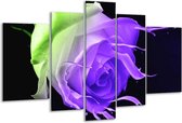 Peinture sur verre rose | Violet, vert, noir | 170x100cm 5 Liège | Tirage photo sur verre |  F003555