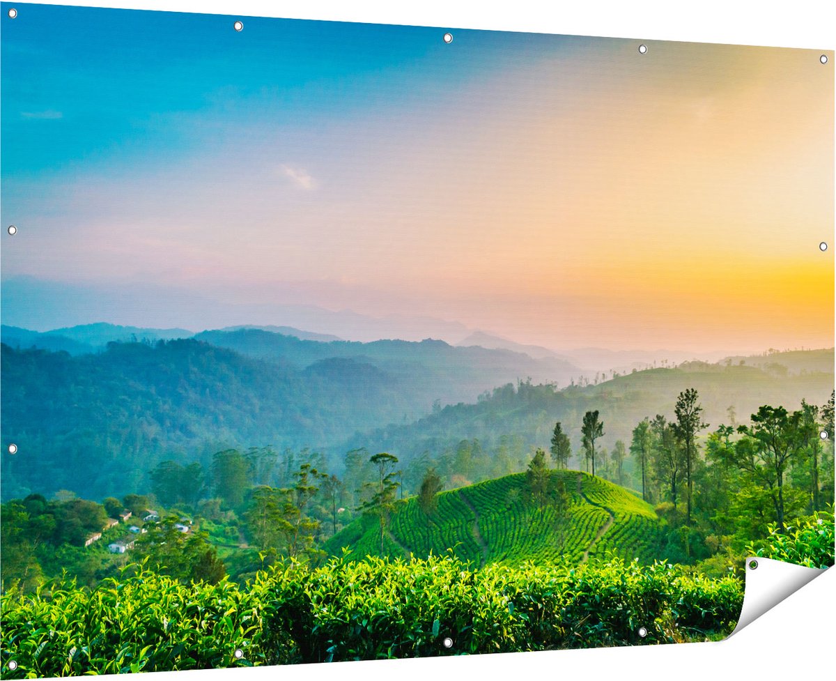 Gards Tuinposter Zonsondergang op een Thee Plantage - 180x120 cm - Tuindoek - Tuindecoratie - Wanddecoratie buiten - Tuinschilderij Multikleur