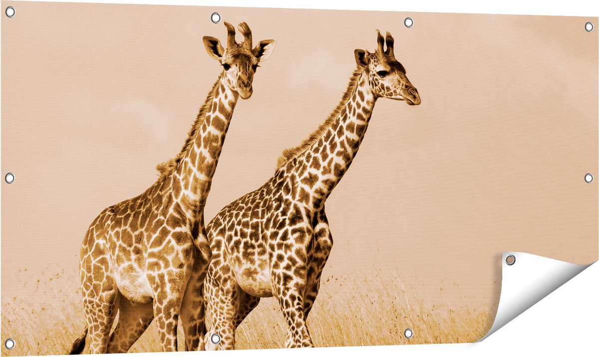 Gards Tuinposter Twee Giraffes in het Veld - 120x60 cm - Tuindoek - Tuindecoratie - Wanddecoratie buiten - Tuinschilderij Multikleur