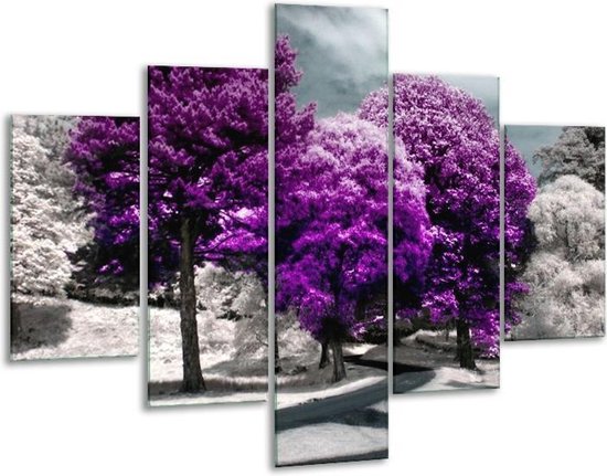 Peinture sur verre Nature | Violet, blanc, gris | 100x70cm 5Liège | Tirage photo sur verre |  F002386