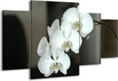 GroepArt - Schilderij -  Orchidee - Wit, Zwart, Grijs - 160x90cm 4Luik - Schilderij Op Canvas - Foto Op Canvas