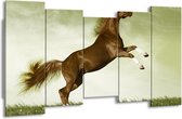 GroepArt - Canvas Schilderij - Paard - Bruin, Groen, Zwart - 150x80cm 5Luik- Groot Collectie Schilderijen Op Canvas En Wanddecoraties