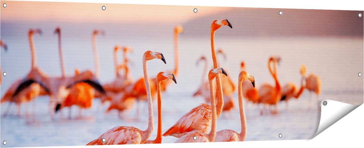 Gards Tuinposter Kudde Flamingo's in het Water - 180x60 cm - Tuindoek - Tuindecoratie - Wanddecoratie buiten - Tuinschilderij Multikleur