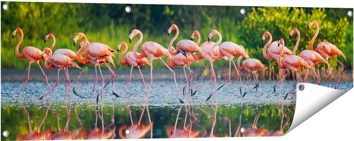 Gards Tuinposter Kudde Flamingo's op het Water - 120x40 cm - Tuindoek - Tuindecoratie - Wanddecoratie buiten - Tuinschilderij Multikleur