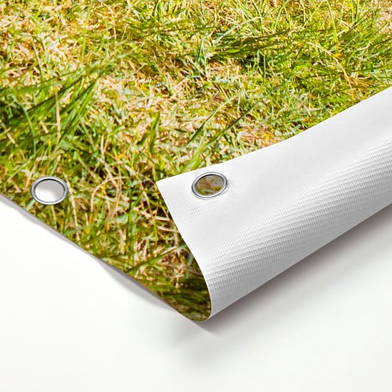 Gars Affiche jardin Poules dans l'herbe - 100x150 cm - Toile jardin - Décoration de jardin - Décoration murale extérieur - Tableau jardin