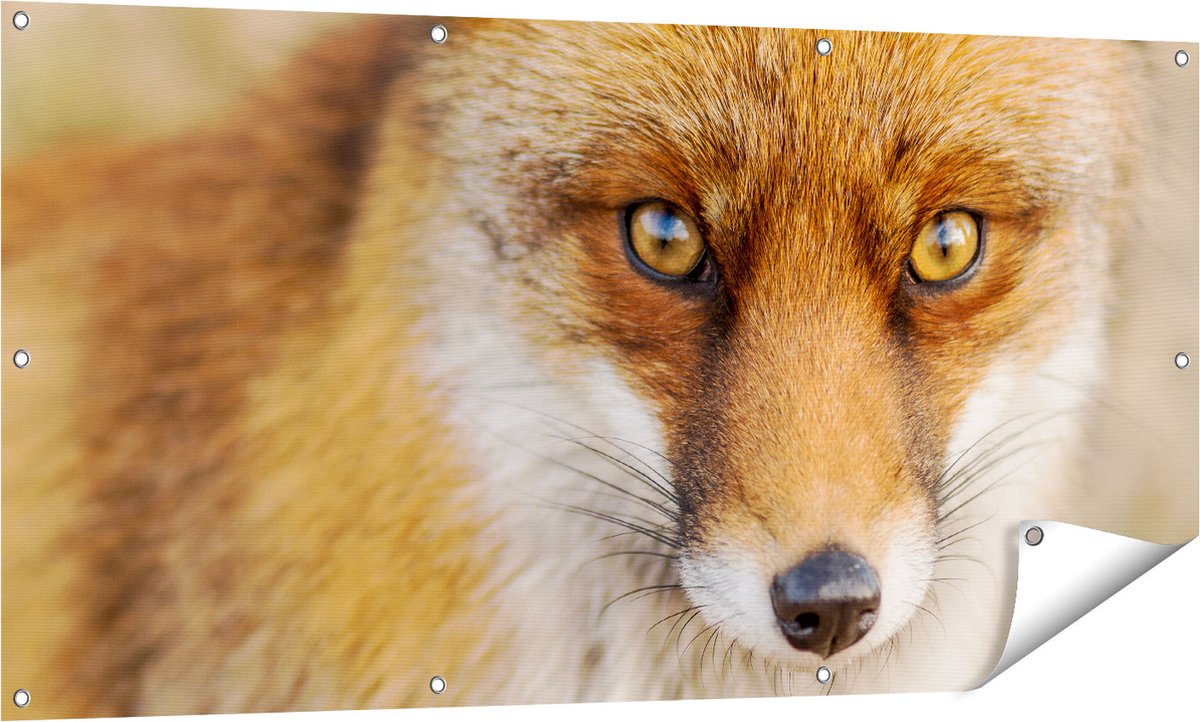 Gards Tuinposter Vossenkop met Bruine Ogen - Vos - 140x70 cm - Tuindoek - Tuindecoratie - Wanddecoratie buiten - Tuinschilderij Multikleur