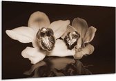 Peinture sur verre d'orchidée | Sépia, Marron | 120x70cm 1Hatch | Tirage photo sur verre |  F001887