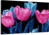 Peinture sur toile Tulipe | Rose, bleu, noir | 140x90cm 1 Liège