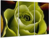 GroepArt - Schilderij -  Roos - Groen, Wit, Zwart - 120x80cm 3Luik - 6000+ Schilderijen 0p Canvas Art Collectie