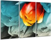 GroepArt - Schilderij -  Tulp - Oranje, Rood, Blauw - 120x80cm 3Luik - 6000+ Schilderijen 0p Canvas Art Collectie