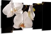 GroepArt - Canvas Schilderij - Orchidee - Wit, Zwart - 150x80cm 5Luik- Groot Collectie Schilderijen Op Canvas En Wanddecoraties