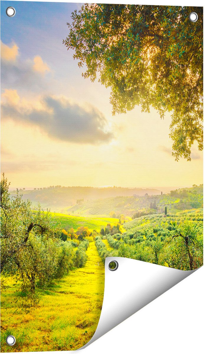 Gards Tuinposter Olijvenbomen - Olijvengaard - 40x60 cm - Tuindoek - Tuindecoratie - Wanddecoratie buiten - Tuinschilderij Multikleur