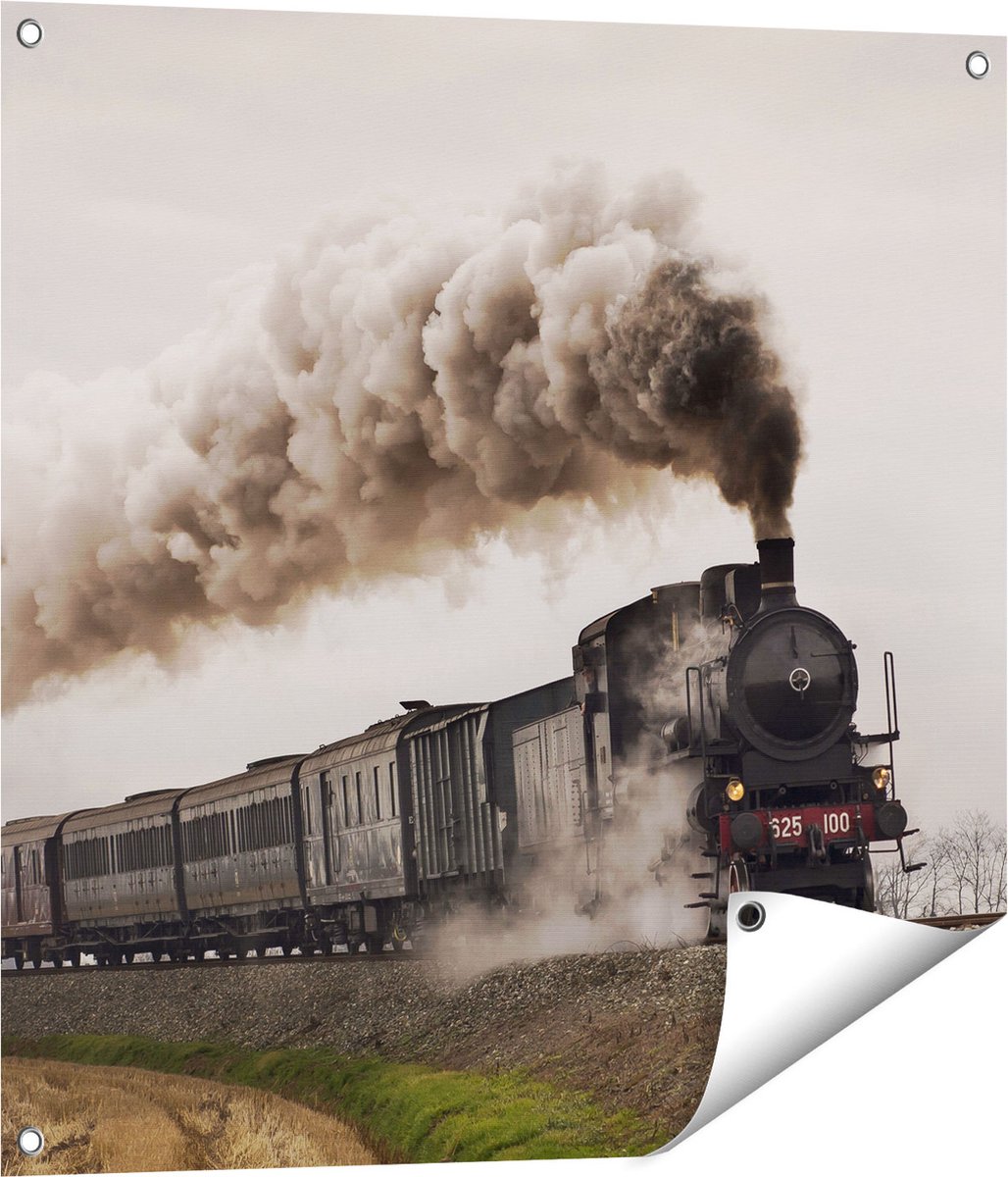 Gards Tuinposter Locomotief Trein met Rook Wolken - 70x70 cm - Tuindoek - Tuindecoratie - Wanddecoratie buiten - Tuinschilderij Multikleur