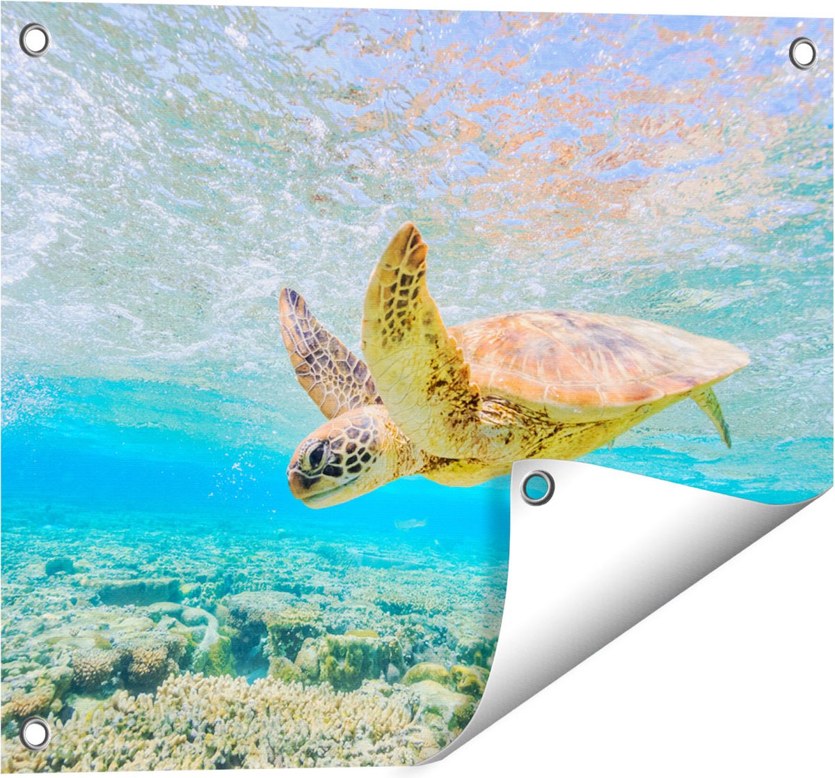 Gards Tuinposter Schildpad Zwemt in de Zee bij het Rif - 50x40 cm - Tuindoek - Tuindecoratie - Wanddecoratie buiten - Tuinschilderij Multikleur