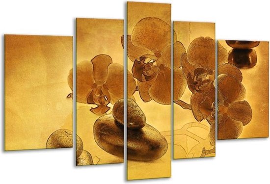 Glasschilderij Orchidee - Bruin - 170x100cm 5Luik - Foto Op Glas - Geen Acrylglas Schilderij - 6000+ Glasschilderijen Collectie - Wanddecoratie