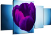 GroepArt - Schilderij -  Tulp - Paars, Blauw, Wit - 160x90cm 4Luik - Schilderij Op Canvas - Foto Op Canvas