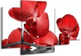 GroepArt - Schilderij -  Orchidee - Rood, Wit - 160x90cm 4Luik - Schilderij Op Canvas - Foto Op Canvas